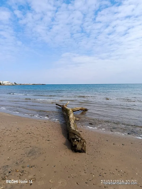 Torre San Gennaro – Foto 49