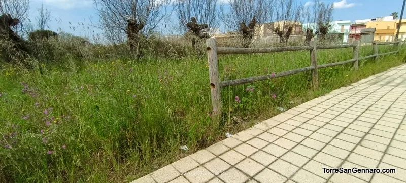 Torre San Gennaro – Foto 65